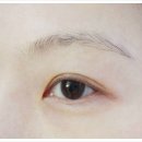 리아아이브로우 이미지