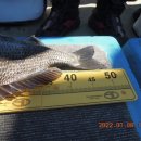 대구대물피싱 이미지