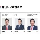 국민의힘 청년 최고위원 선호도 조사 이미지