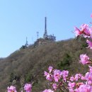 청하육교