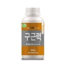 한국원예상사