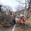 나주시 쾌적한 도시 미관 조성[미래뉴스] 이미지