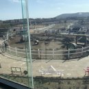 홍규농장 이미지