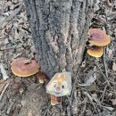 체력단련 이미지