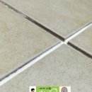 용담광택 이미지