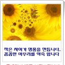 홍애드