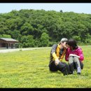 한국알스트롬노동조합 이미지