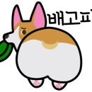 보용만두 이미지