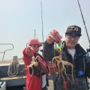 꽃지아라 이미지