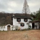 쁘띠뽀레 이미지