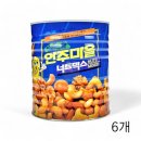 지엔에프 이미지