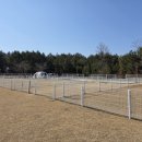 파라독스글램핑 | 태안 파라독스 캠핑장