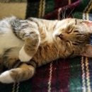 100세동안 이미지