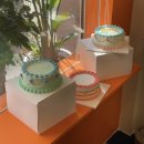 분당-108 | 분당 정자 커스텀 케이크 니나케이커리 주문방법 메뉴 추천 솔직후기 내돈내산