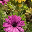 국수보건지소 이미지