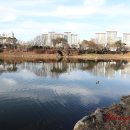 장자호수생태공원 이미지