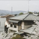 안경나라 온천점 | 3월 일본 규슈 여행 완벽 가이드: 벚꽃 시작·온천·맛집 총정리