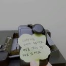 일상컴퍼니