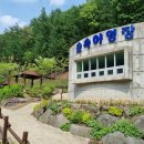 생거진천 유아숲체험원 이미지