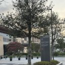 스위트월드 | 제주도호텔 | 서귀포 호텔 추천 &#39; 신화월드 메리어트관 &#39; 디럭스 스위트 후기
