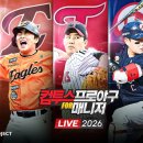 밸런스독B 이미지