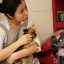 이플동물병원 이미지