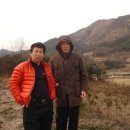 상혁농장 Daum카페
