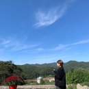 수민목장 네이버블로그