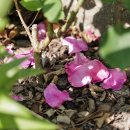 (대면) 사진으로 이야기하다 이미지