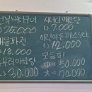 일심회포차 이미지