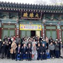 달마사 이미지