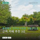 (주)어썸블루 | 충청북도 안터선사공원 카페 3곳: 메뉴·분위기 비교