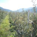 김태근농장 이미지