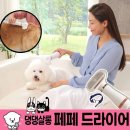 펫살롱 댕댕 이미지