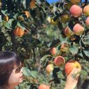 옥이농장 이미지