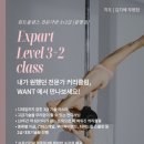 원트폴댄스