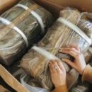 양지-7 | 쿠팡 양지4센터 알바 후기: 4,5,6,7,9라인 업무 비교 &amp; 쉬운 라인 찾는 법!