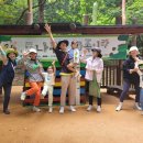 숲의 이야기를 들어볼래? 이미지