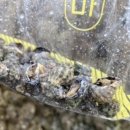 광천민박 이미지