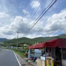 옥수풀빌라 | 발리 여행 온 기분 울산 울주 아기랑 숙소 추천 노아풀빌라💚(자세한후기)