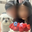 최고집김밥 | 나도 모르는 사이 시간이 자꾸 가요