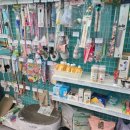 세곡 | 강남24시애견용품 멍냥의민족 세곡점 후기