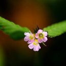 불암초등학교 이미지