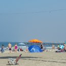 캘리포니아 이미지