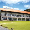 별빛여행 이미지