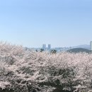 (주)호텔일루아 | 봄.