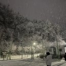 호계운동장 이미지