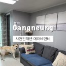 세븐일레븐 강릉플라주메종점 | [강릉] 애견동반 대형견 동반 가능 강릉 숙소 추천, 플라주메종 (feat. 에어비앤비)