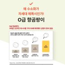 친환경농업연구소 화장실 | 남양주 줄눈시공: 화장실 줄눈비용부터 빅라이언 후기까지!