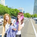 모모 티스토리